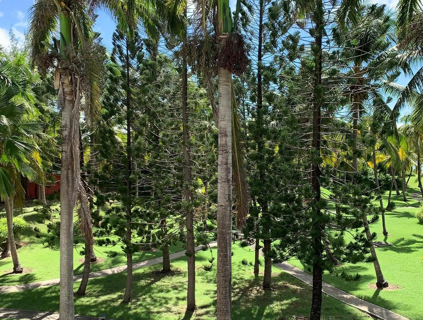 Appartement Varangue, Anse Des Rochers Saint-Francois  Saint-Francois (Grande-Terre)